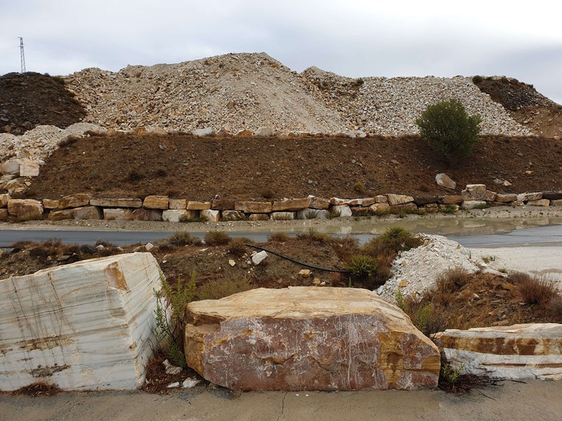 Arbor Lane Visits Cosentino Industrial Park In Almeria, Spain
